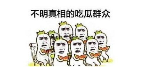 小龙娱乐辩论吃瓜,吃瓜群众如何成为舆论风向标